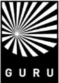 www.guru.si
